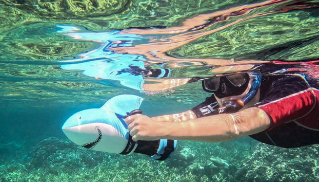 Tahiti Power Snorkelling - Photo 4, Practice power snorkeling, also called sea scooter snorkel