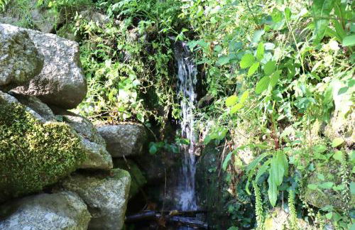 Villa La Finca - Gerês - Foto 39