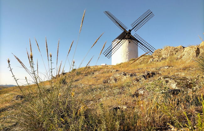 Azafrán Consuegra Casa Rural - Foto 31