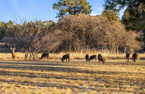 Lakeshore Retreat in Parker CO - Foto 60