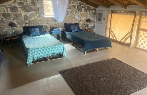 Maison typique Corse écologique - Photo 19