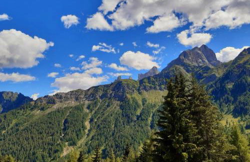 Il Cirmolo delle Saline - Foto 20