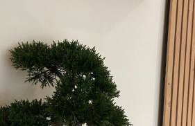 EnergyZen - Spa Alsace - le Refuge des Anges - Foto 19