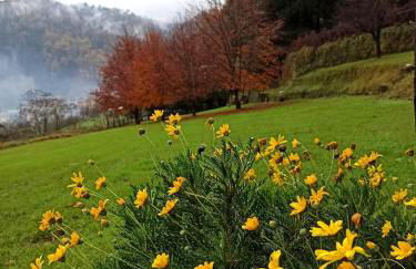 Il Bosco di Campo Marzano Garden Apartments - Foto 49