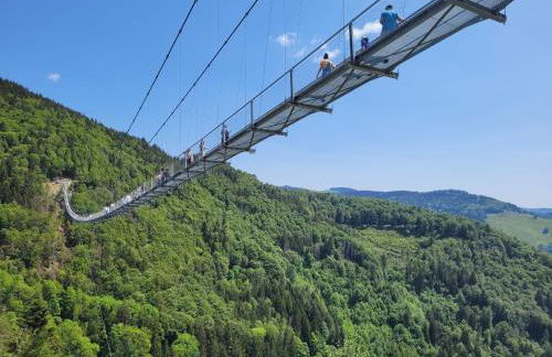 Ferienwohnung Ausklang - Todtnauberg, Feldberg - Foto 24