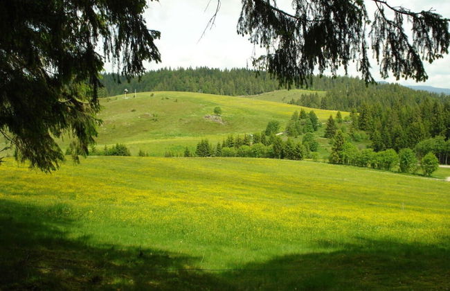 Holiday Apartment Schupp - Foto 13