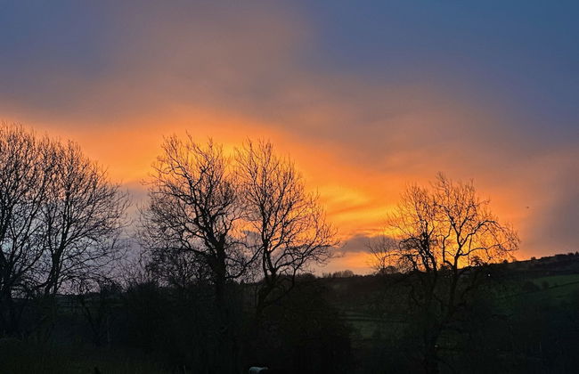 Gratton Grange Farm Holiday Cottage - Foto 15