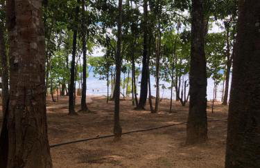 Chácara da Ilha - Photo 12