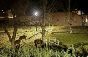 Casas Rurales Chon Alto Tajo - Foto 2