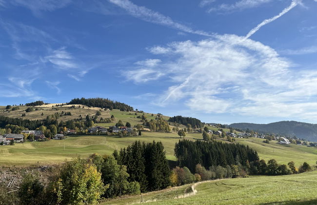 Schwarzwaldblick II - Foto 47