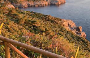 Villa Pineta - Holiday House - Photo 3