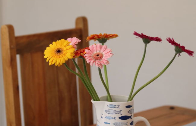 Kindly Light Cottage - Foto 19