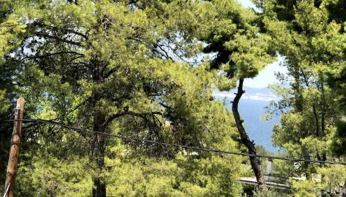 Studio Kalypso - Foto 5