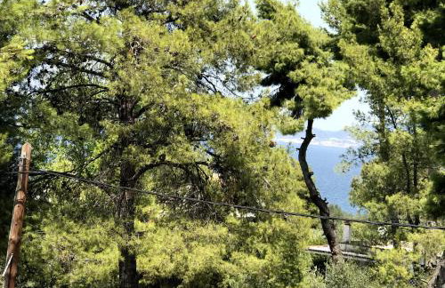 Studio Kalypso - Foto 5