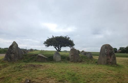 Hering FeWo I Apartment Terrace - Foto 38