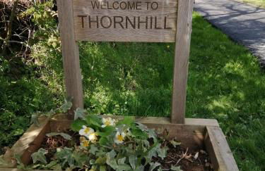 Lakes and Eden Valley. Thornhill Cabin - Foto 26