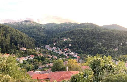 Το Aρχοντικό των Τσιντζίνων - Foto 24