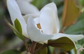 Villa del Poggio - Foto 31