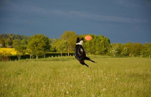 Ferienwohnung Zimmert - Photo 35