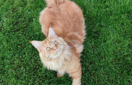 Zielona Przystań - Foto 26