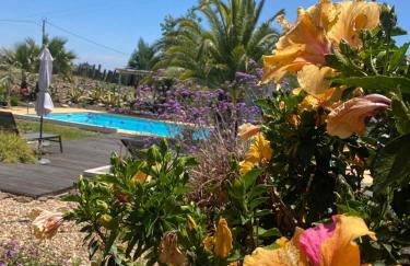 Quinta Cunte - Casa Sobreiro - Foto 24