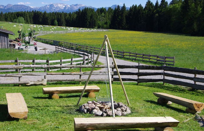 Holiday Apartment Almstuberl - Photo 24