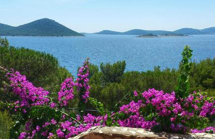 Holiday Home Nona - Foto 4