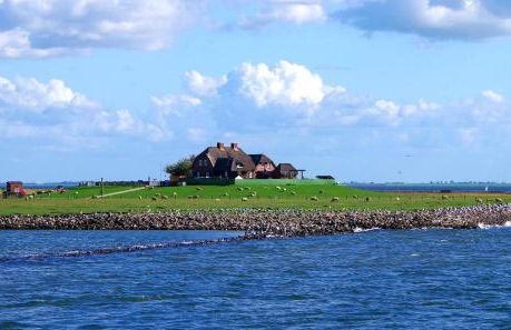 Klaus Jensen , Unter den Linden - Foto 35