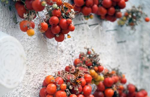 Dammuso Yucca e Dammuso Zuebi Paradiso a Pantelleria Internet WI-FI - Foto 19