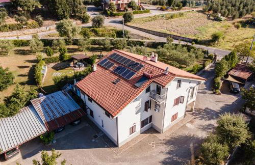 Sole Verde green house - Foto 11