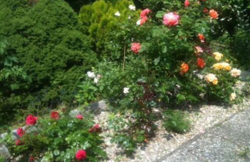 Ferienhaus Napoleon - Foto 24