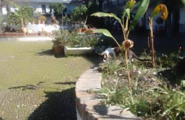 Corral Montelucía Siglo XVI - Foto 20