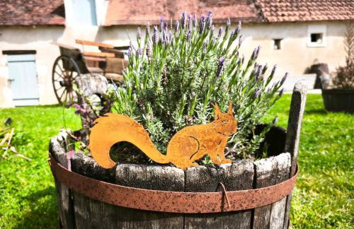 Chez Renée - Ferme berrichonne en Brenne - Foto 27