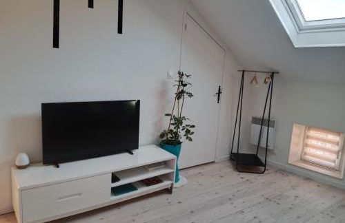 Pounette, appartement T2, centre thermes Luxeuil - Foto 2