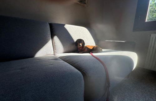 Residenza Grimerio Piano Primo - Photo 9