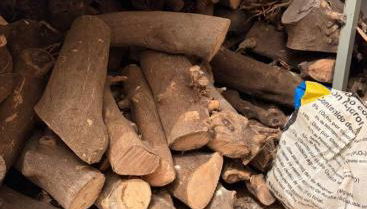 Casa Emilia - Foto 3