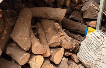 Casa Emilia - Foto 3