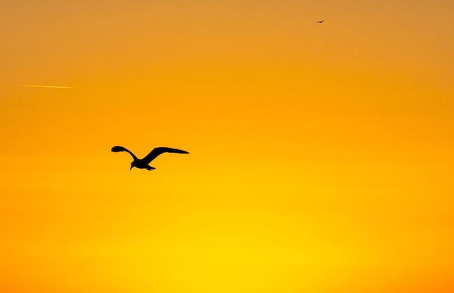 Villa ata Razanac - Apartment With sea View - Foto 7