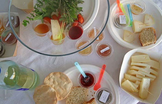 Vista a un'azienda apistica + Degustazione - Foto 2