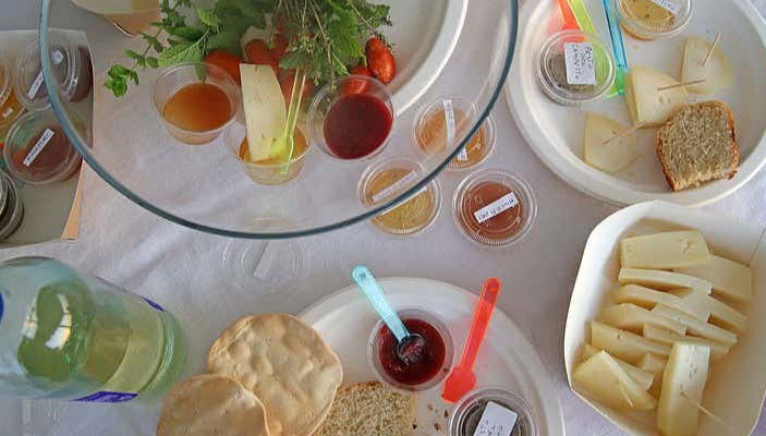 Visite d'une ferme apicole de Pacengo - Photo 2