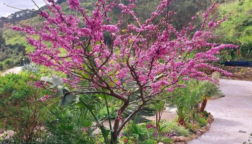 Villetta Blu - Photo 2