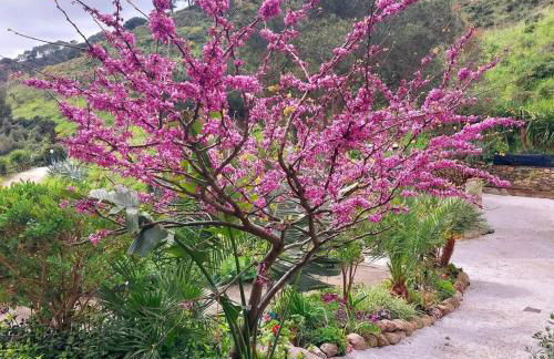 Villetta Blu - Photo 2