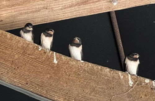 The Old Stable at Manor House, Middleton - Foto 26