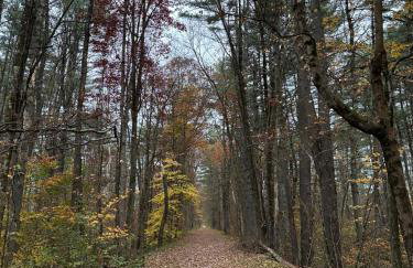 Escape to a Streamside Cabin in the Lower Catskills - Foto 31