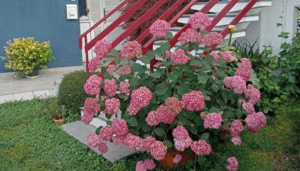 casa Guanita - Foto 2