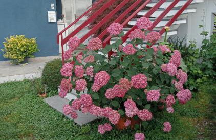 casa Guanita - Foto 2