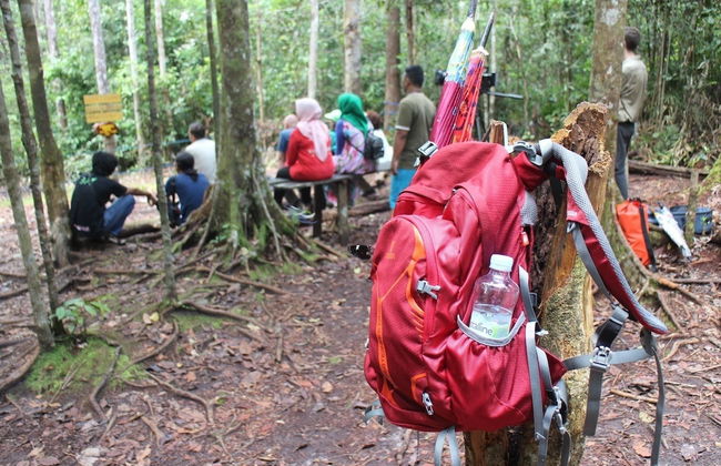 Houseboat Bee Kelotok - Foto 47