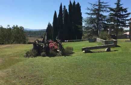 Agriturismo Macciangrosso Casale Piccolomini - Foto 38