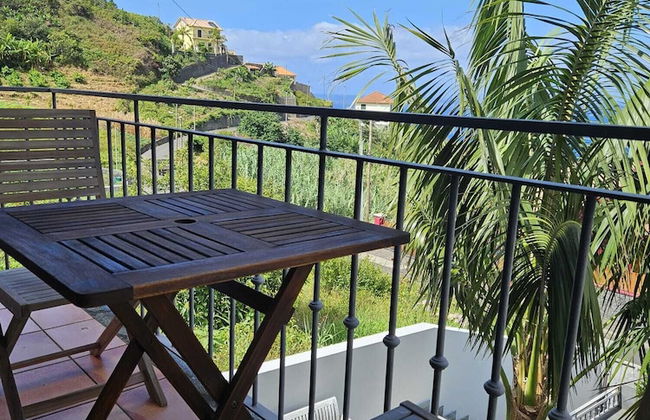 Casa da Palmeira - Foto 20