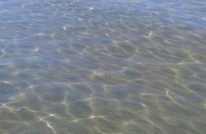 Villa Serena - Foto 56